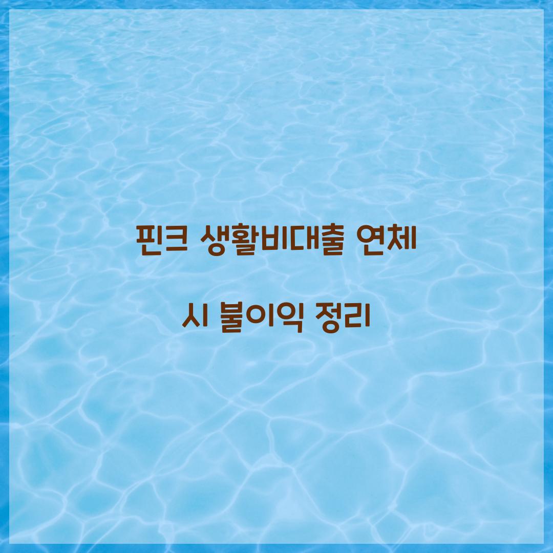 핀크 생활비대출 연체 시 불이익 정리