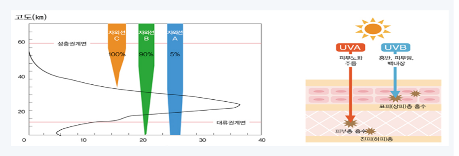 자외선 흡수량