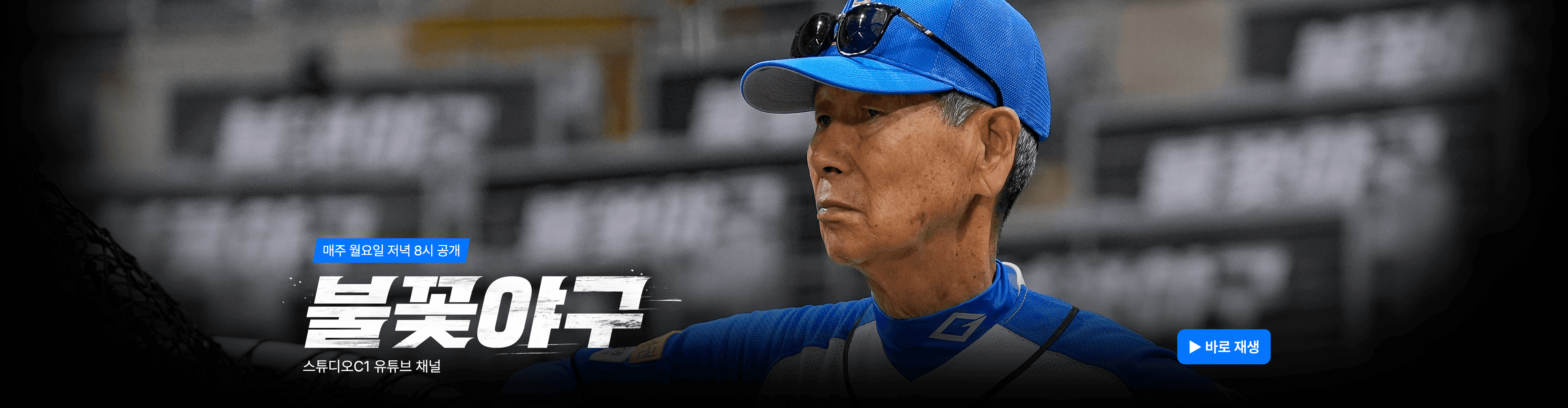 불꽃야구 생중계