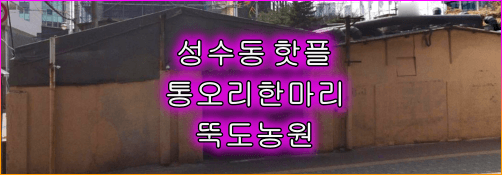 뚝도농원_성수동_핫플