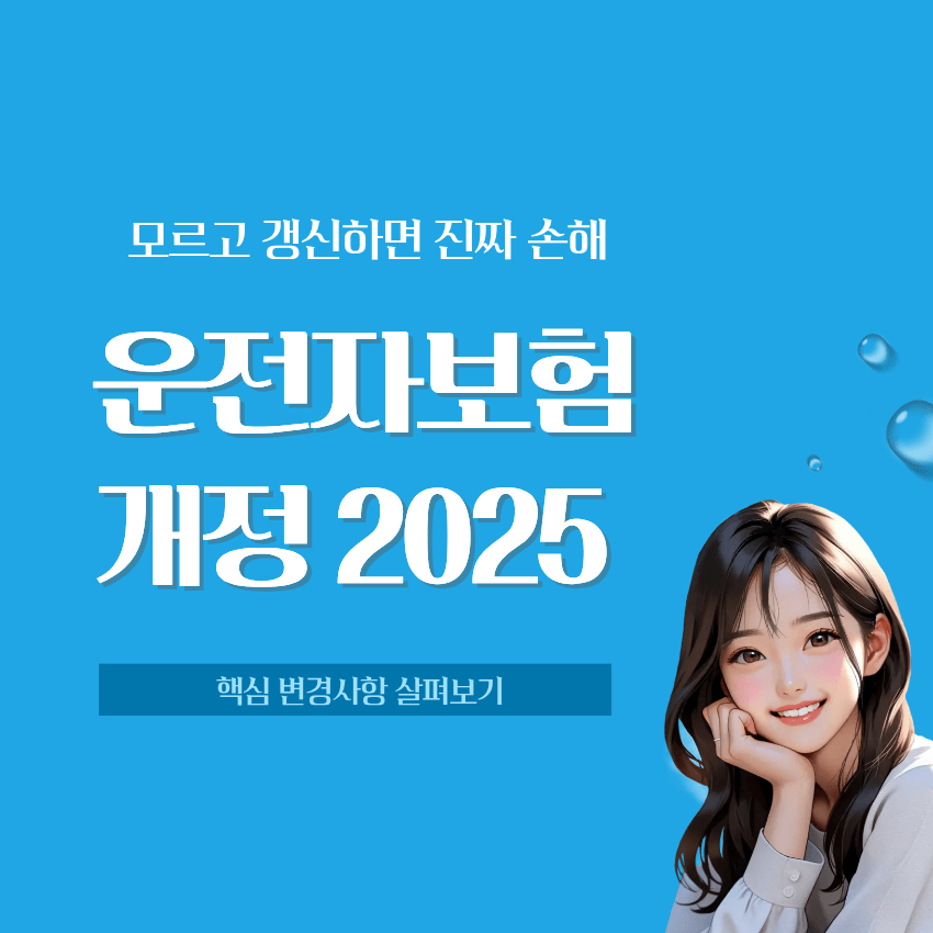 2025 운전자보험 개정