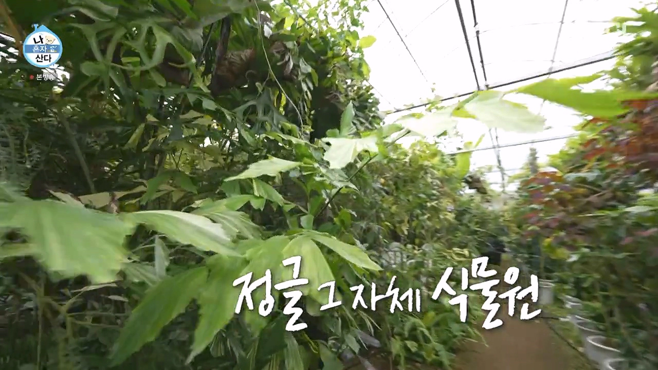 조인폴리아 근처 맛집