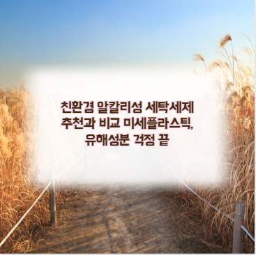 친환경 알칼리성 세탁세제 추천과 비교 미세플라스틱, 유해성분 걱정 끝
