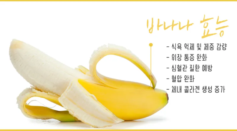 바나나 효능 식이섬유 포만감 운동 전후 효과_3