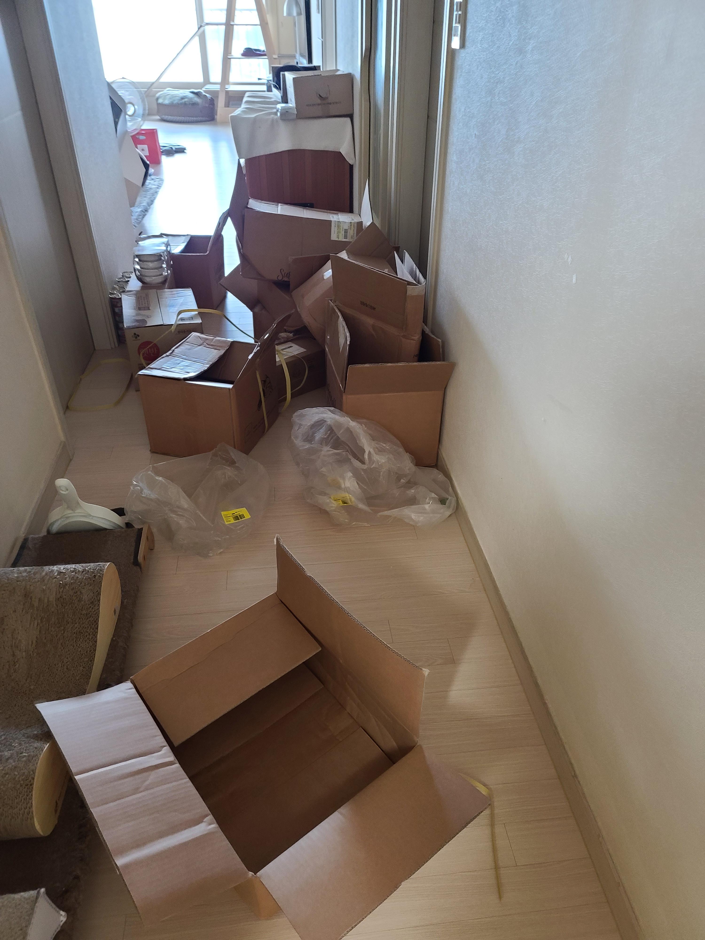 때가 되었다! 아이들 화장실 모래 전체갈이 한날.