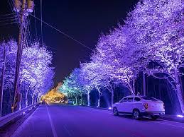 여주 캠핑주막 벚꽃 경기도 벚꽃 명소 원주 벚꽃 서울근교 벚꽃 이천 벚꽃 여주 벚꽃축제 서울 근교 벚꽃 명소 여주흥천남한강벚꽃축제 여주 벚꽃 여주 벚꽃 축제 여주 벚꽃길 여주 벚꽃 개화시기 여주 벚꽃 명소 여주 벚꽃잔치 여주 벚꽃놀이 여주 흥천 남한강 벚꽃 축제 여주 흥천 남한강 벚꽃 여주 신륵사 벚꽃 여주 남한강 벚꽃 여주 흥천 남한강 벚꽃 축제2019 경기도 여주 벚꽃