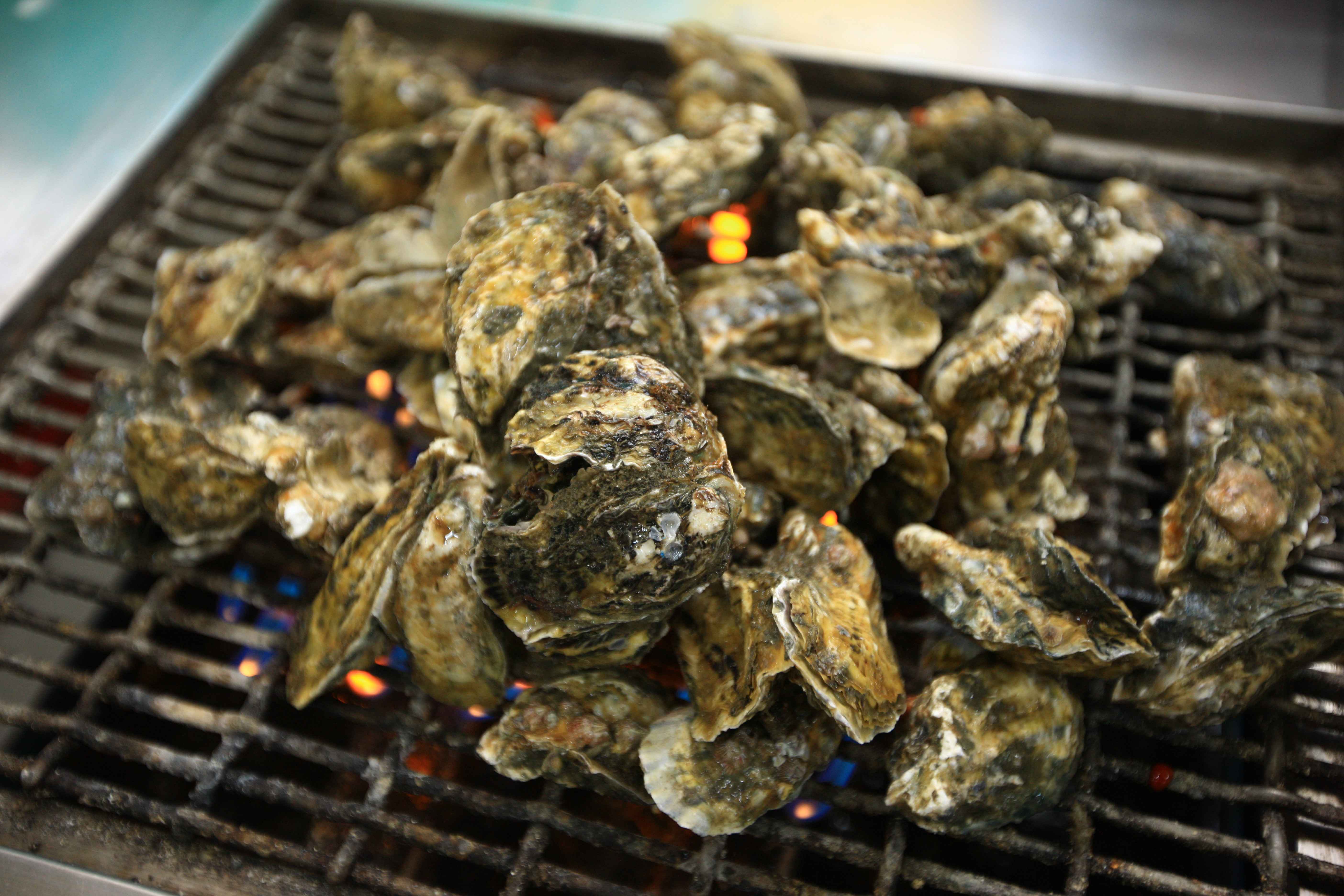 여수-먹거리-굴구이