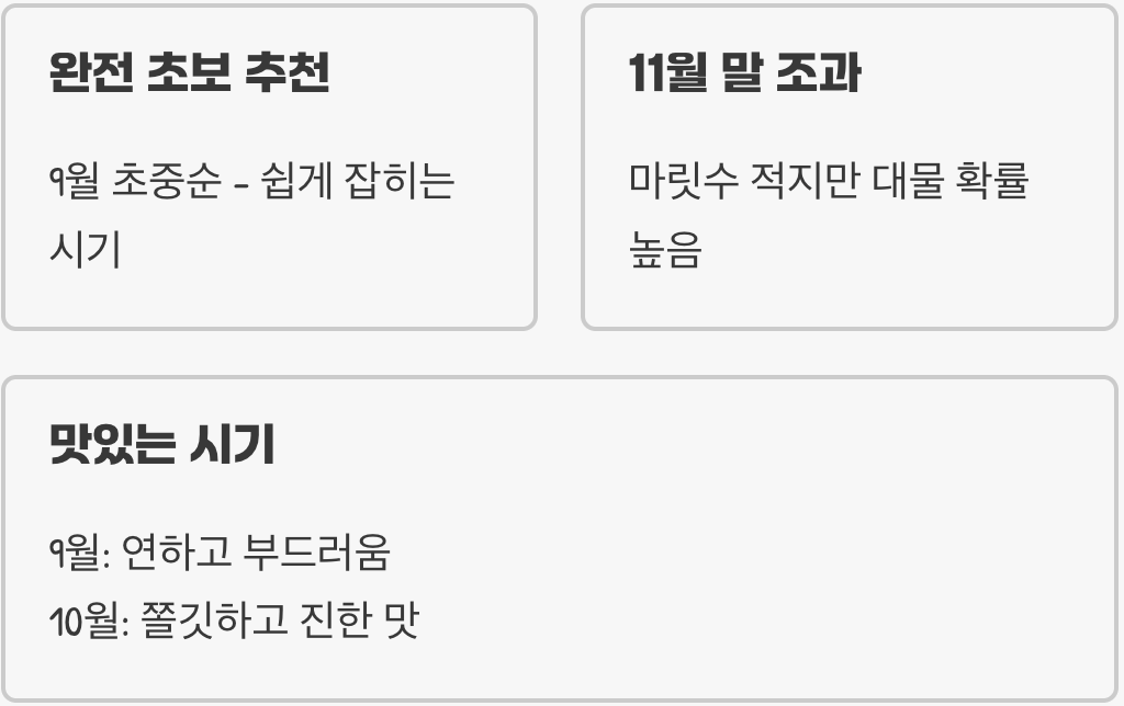 쭈꾸미낚시 제철 시즌과 가장 많이 잡히는 시기 총정리