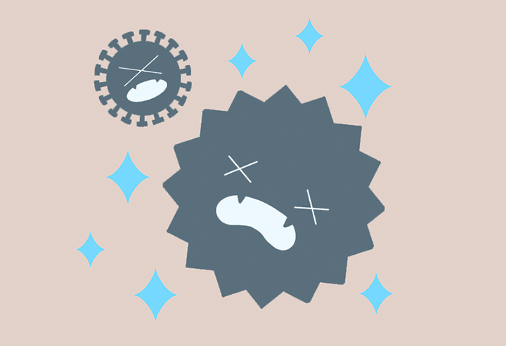 항산화작용-모습