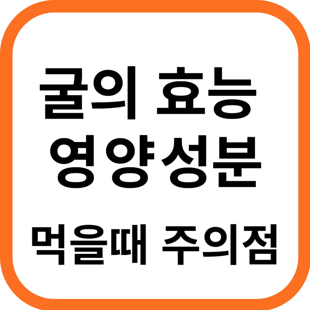 굴 효능과 영양성분&#44; 먹을때 주의점