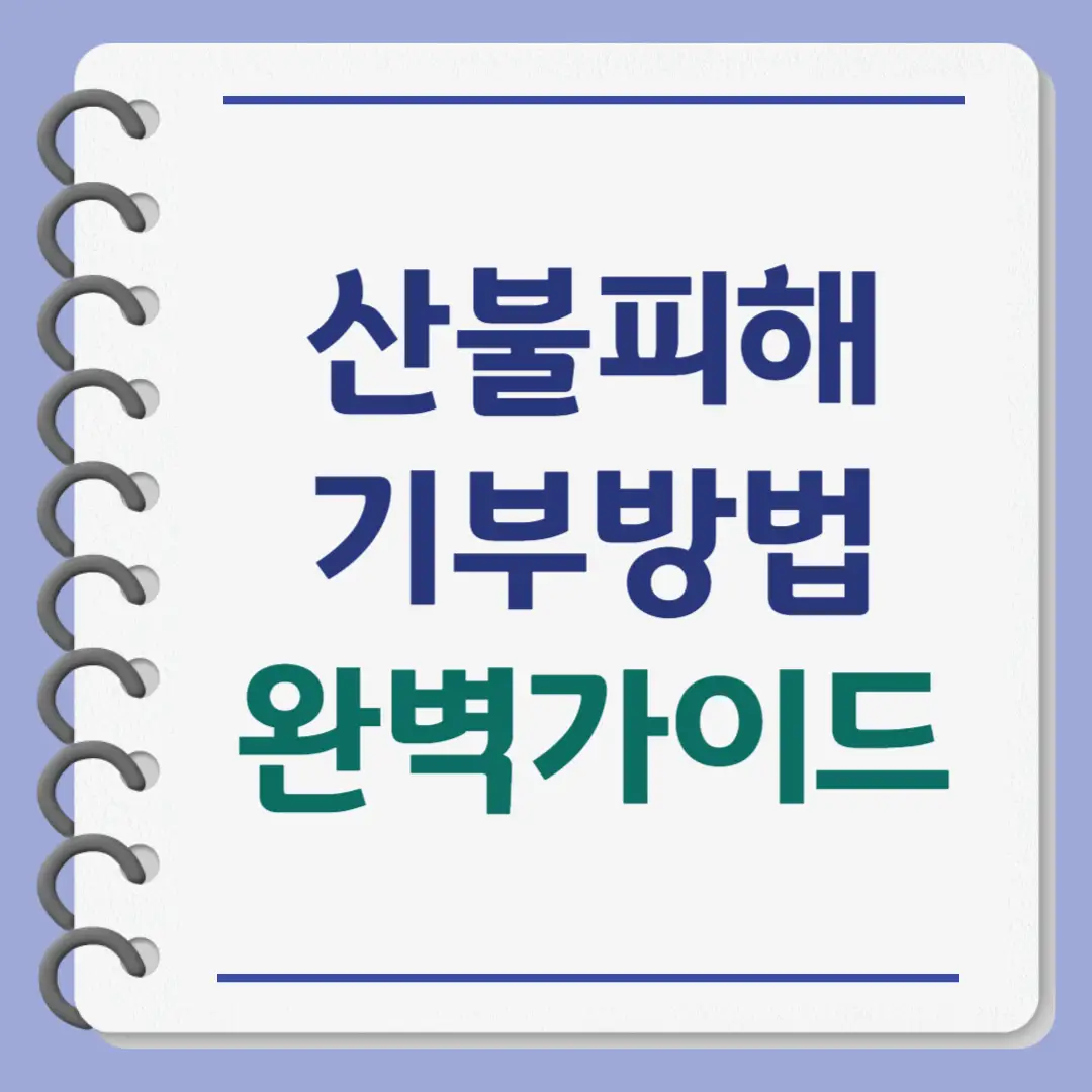 2025 산불 피해 기부 방법 완벽 가이드