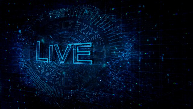 라이브컷 처럼 보이게 연출하는 방법 이미지