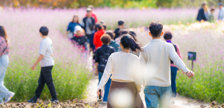 2026 인제가을꽃축제 일정