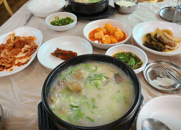 토밥 토요일은 밥이 좋아 경주 한우꼬리도가니찜 한우꼬리곰탕 맛집