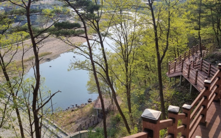 월영산 출렁다리