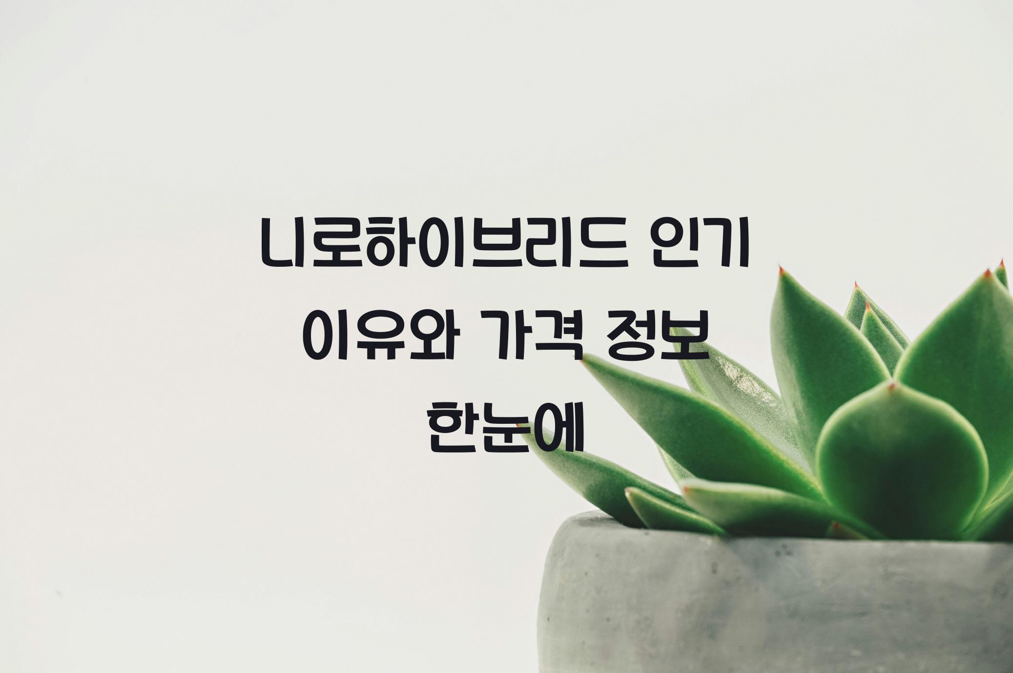 니로하이브리드