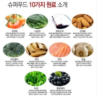 슈퍼푸드 종류 효능_18