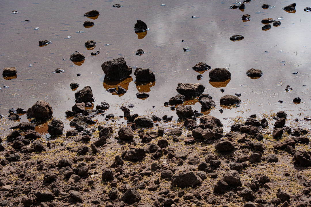 사라오름 화산석