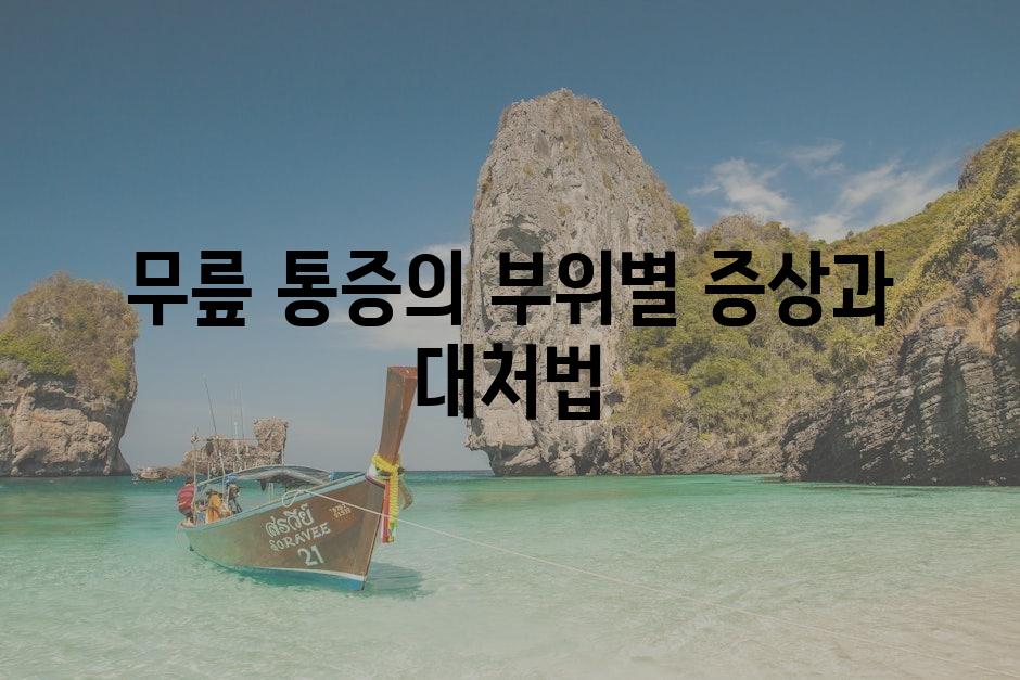 샘플 (80)
