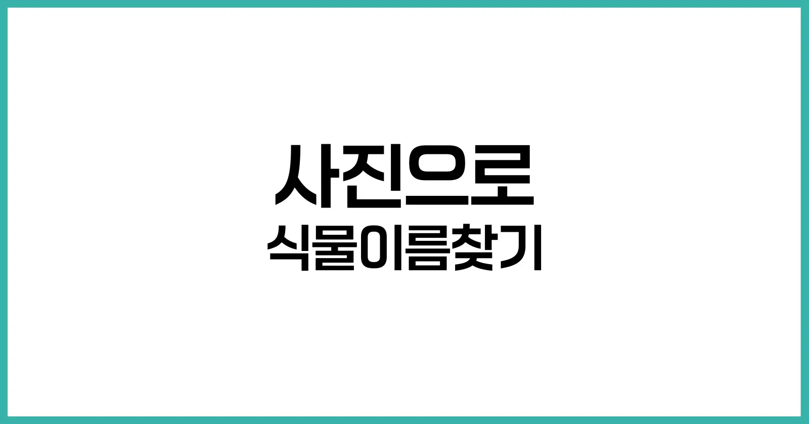 사진으로 식물이름찾기