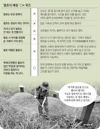 벌초대행 가격비교