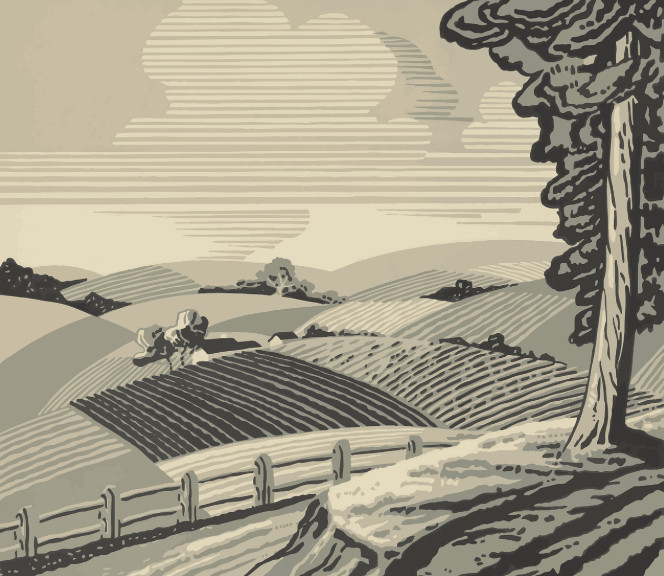 도시 안에서 식량을 키우는 시대가 온다면 누구도 굶지 않을 수 있을까