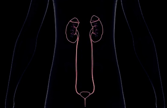 비임상 요도염의 원인과 효과적인 치료 방법.