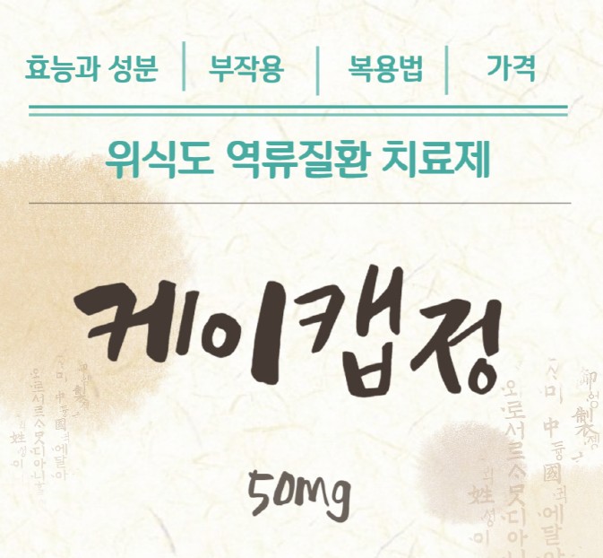 케이캡정50m의-효능과-성분-부작용-복용법-가격을-알려주는-로고입니다.