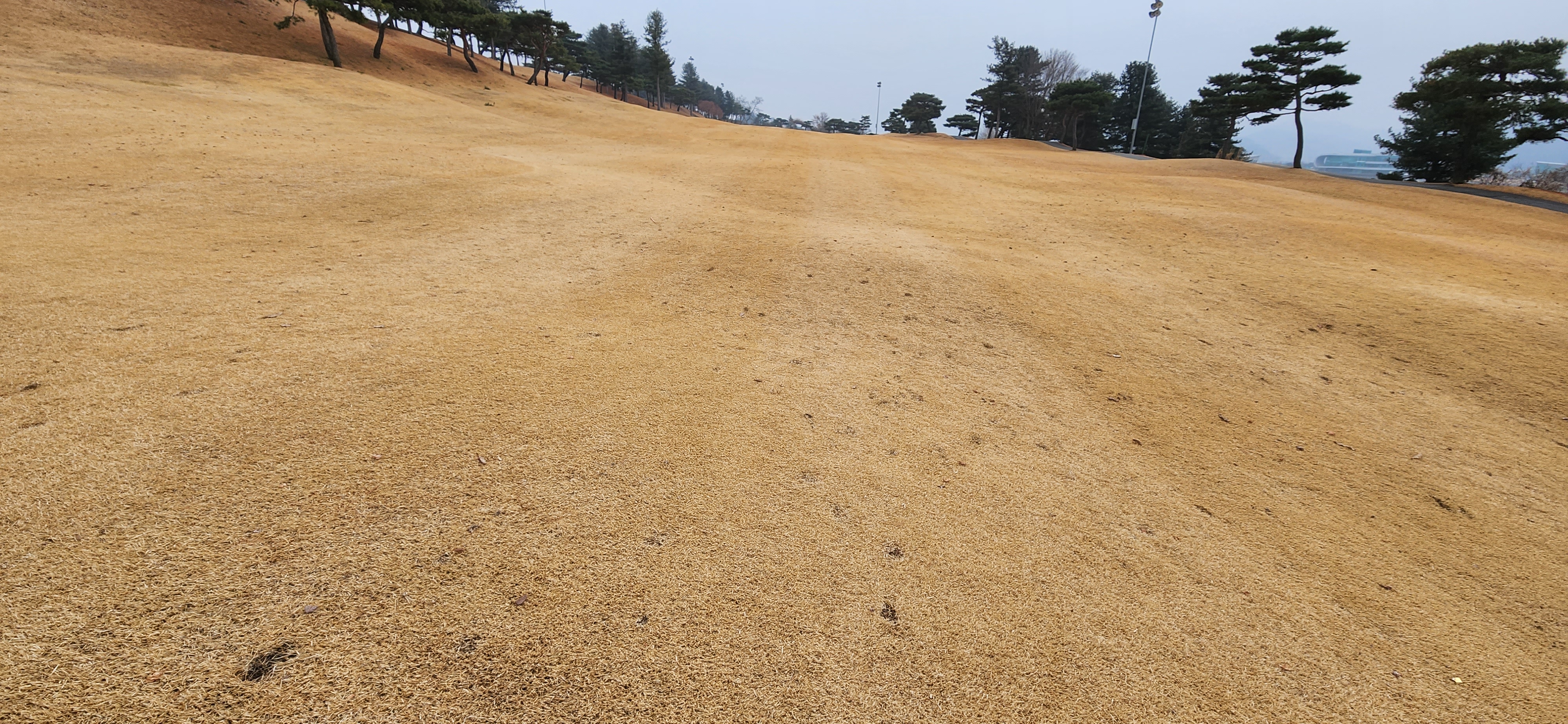 임페리얼레이크cc