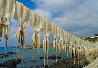 한치가 몸에 좋은 이유