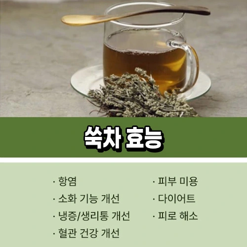 쑥차 효능