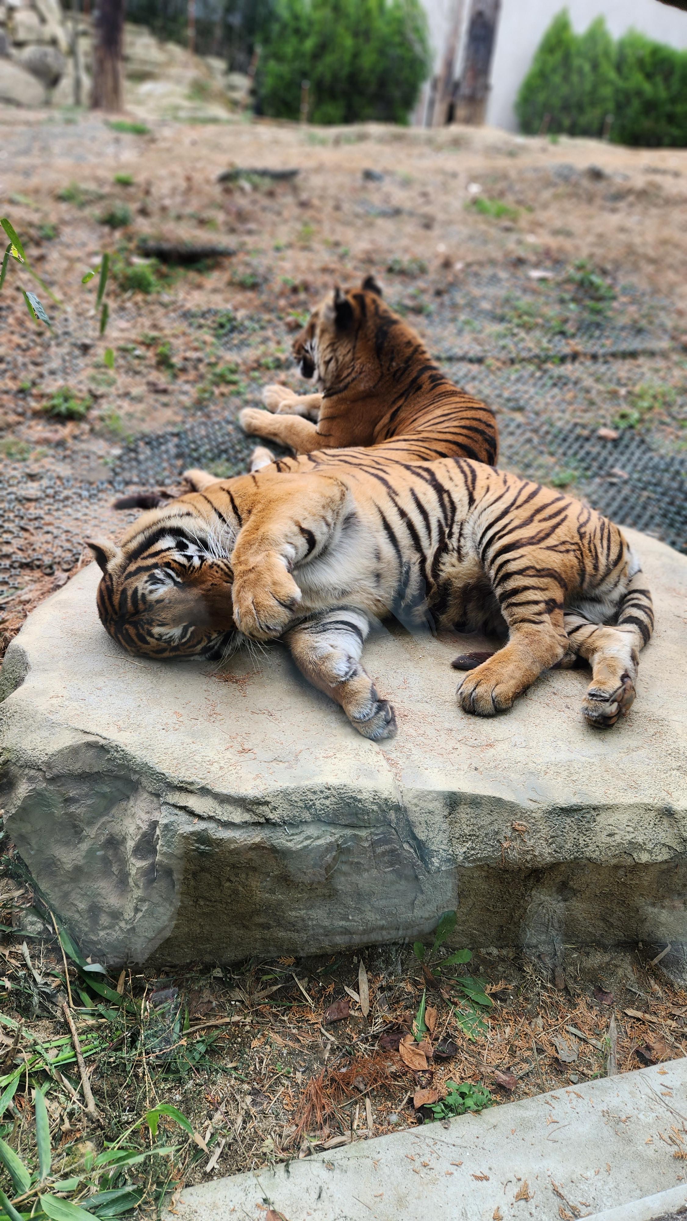 대구-네이처파크