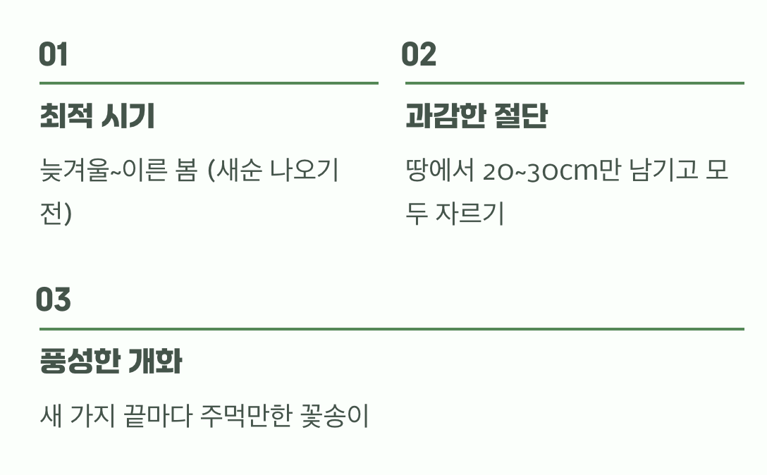 성공의 핵심 비결&amp;#44; &amp;#39;과감한 이발(가지치기)&amp;#39;