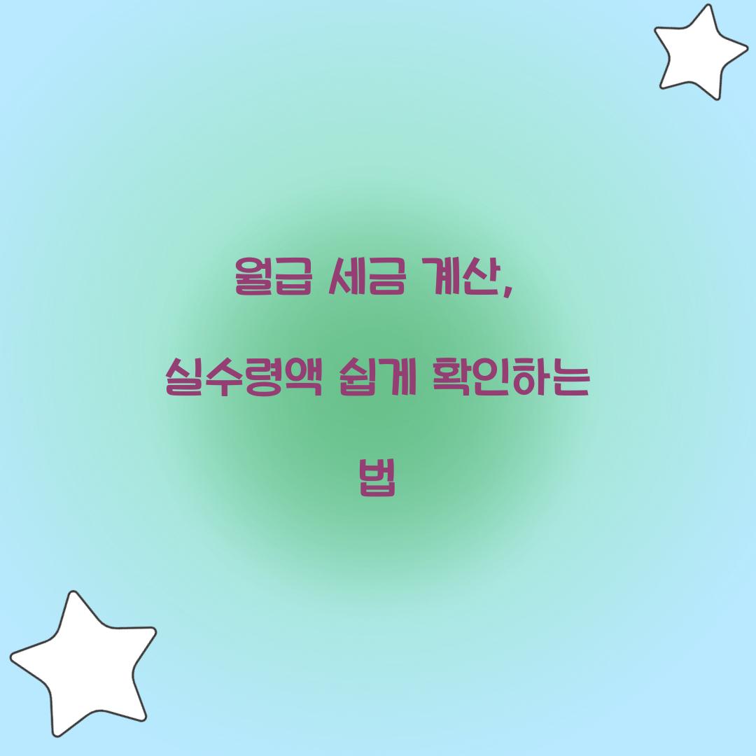 월급 세금 계산