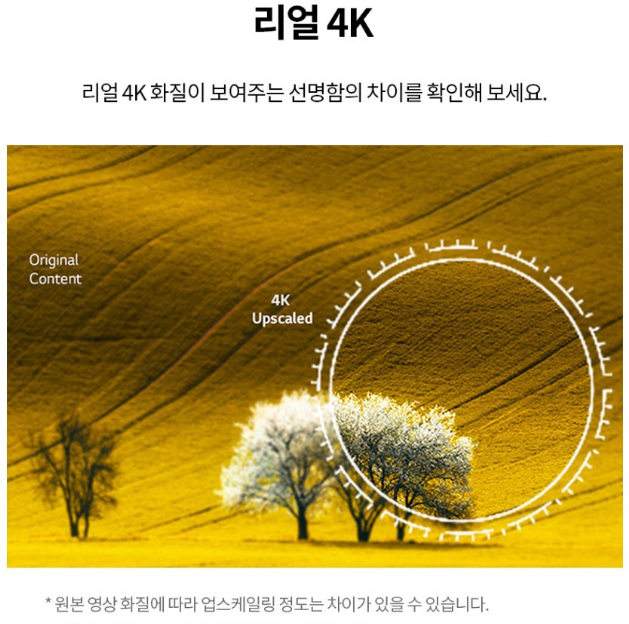 리얼 4K