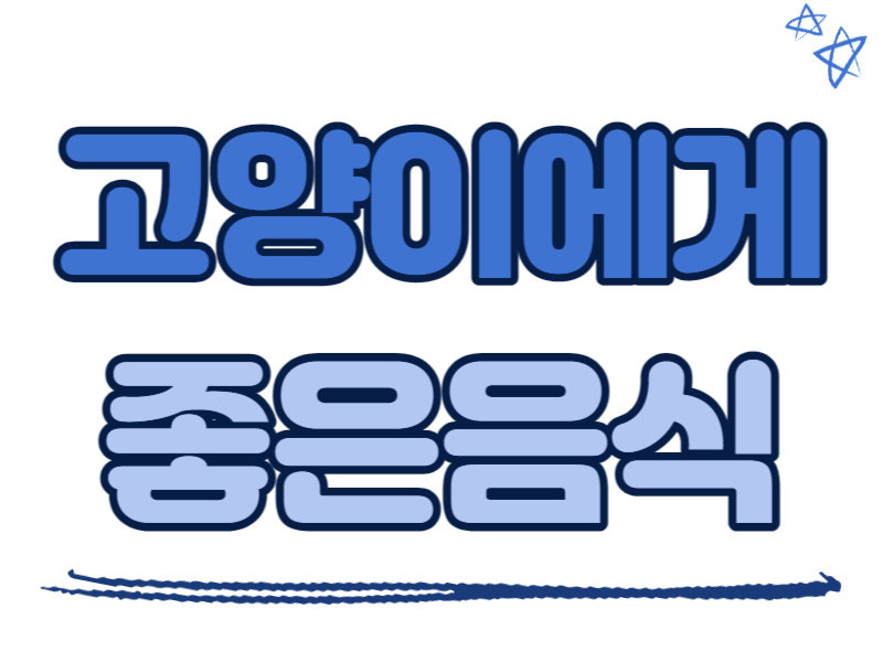 고양이에게 좋은 음식