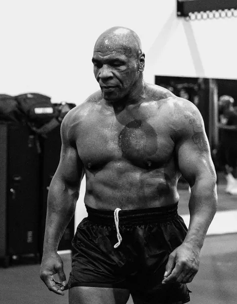 타이슨 제이크폴