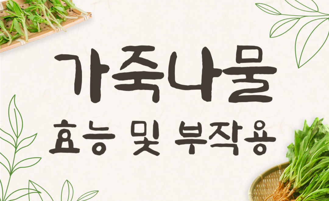 가죽나물 효능과 부작용