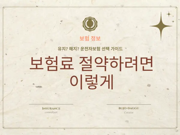 운전자보험 신규가입 vs 해지, 리모델링까지 - 정답은