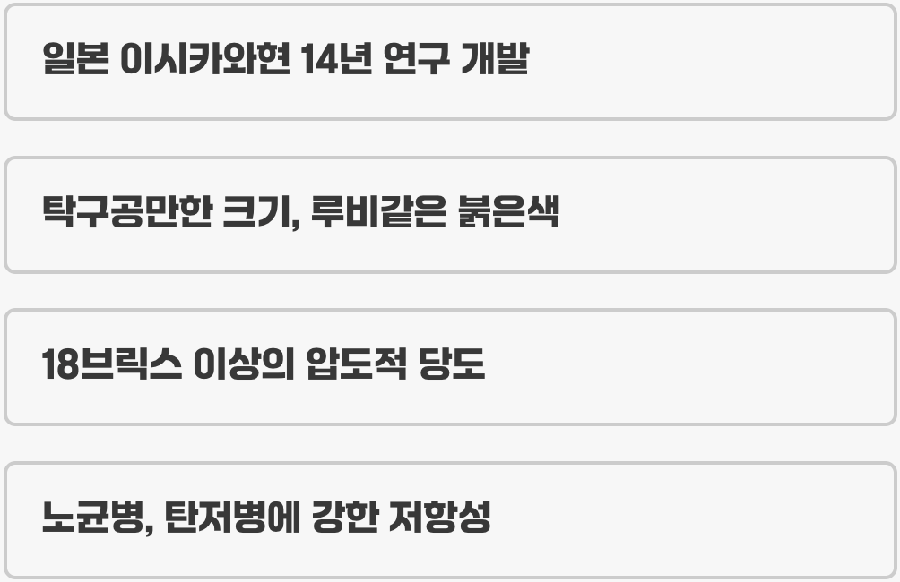 포도계의 명품, 루비로망