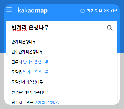 반계리 은행나무