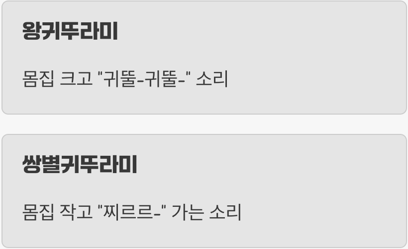 밤의 연주가, 그 정체는?