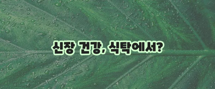 신장에 좋은 음식 5가지