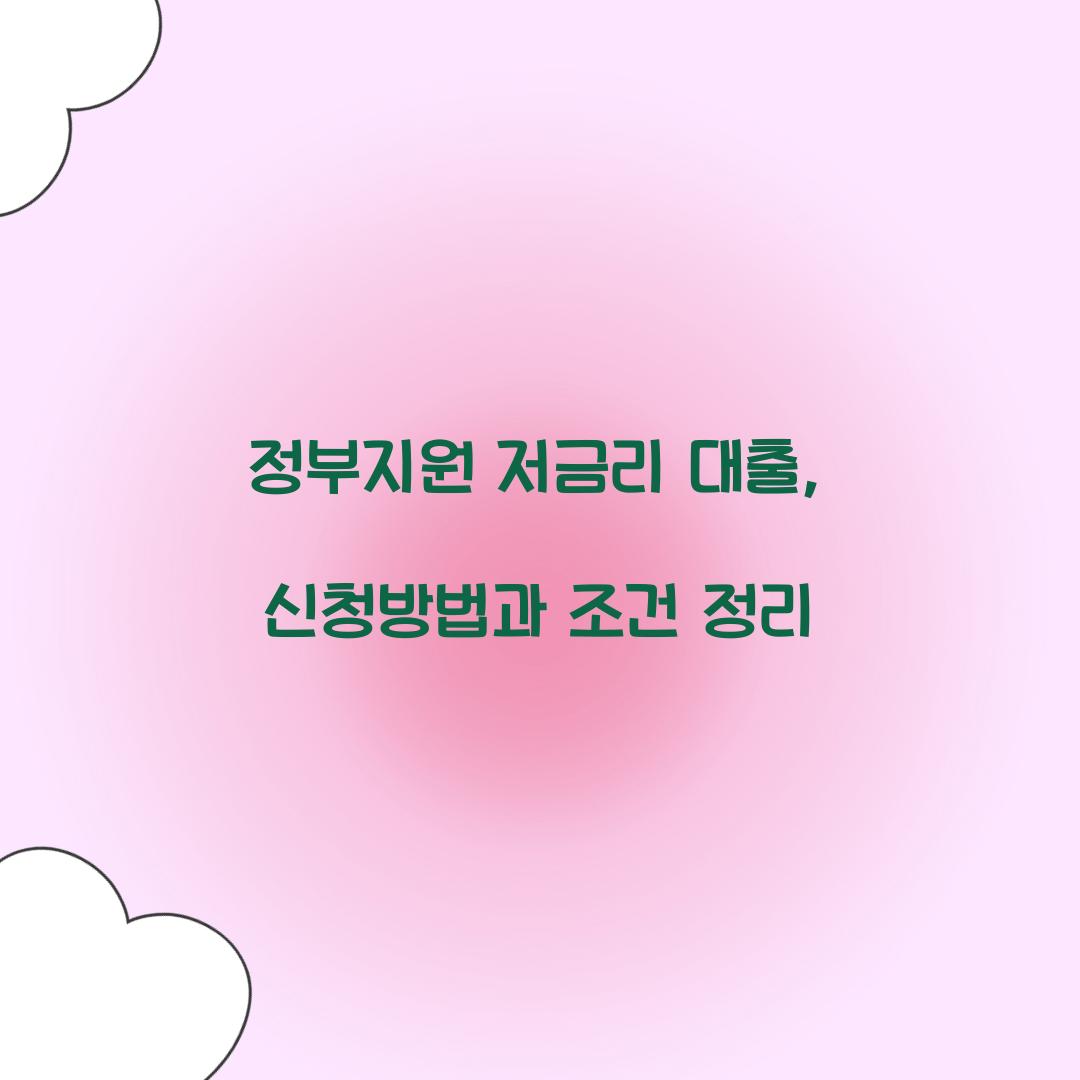 정부지원 저금리 대출