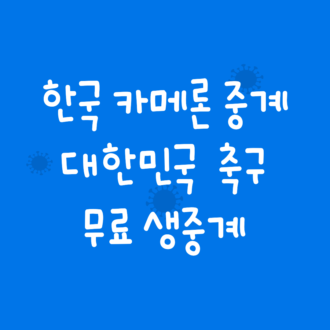 한국 카메룬 중계