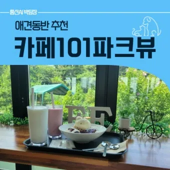 수도권 애견동반 여행지 5선 완벽 가이드 반려견 동반 산책 주말 여행지 추천_14