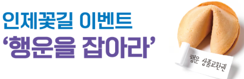인제 가을꽃 축제