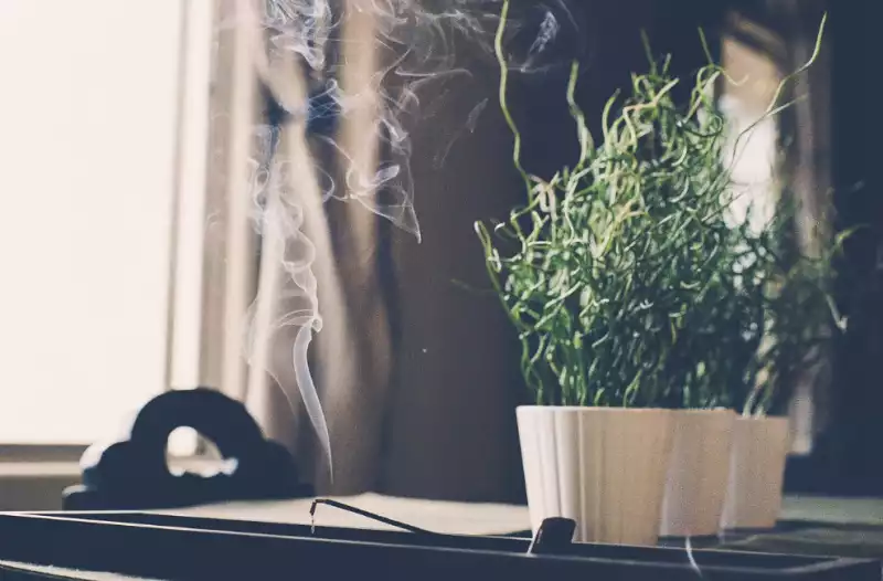 인센스 스틱 사용 시 주의사항