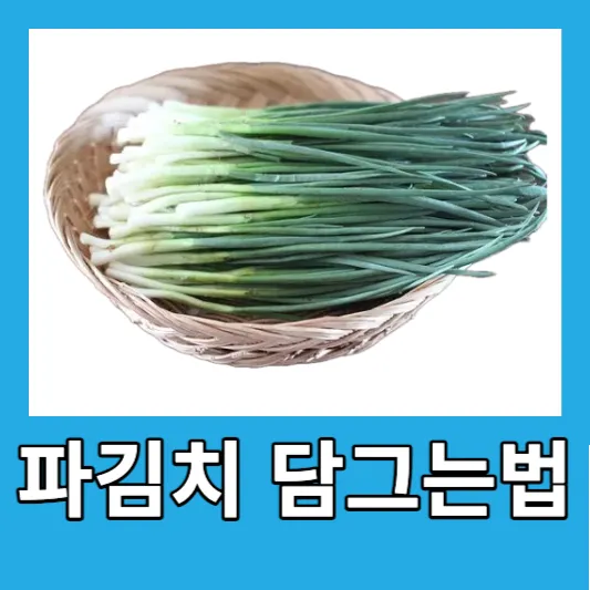 파김치 맛있게 담그는법