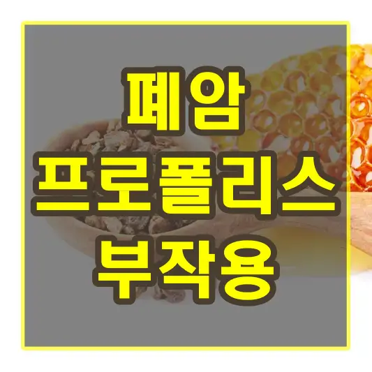 폐암 프로폴리스 부작용
